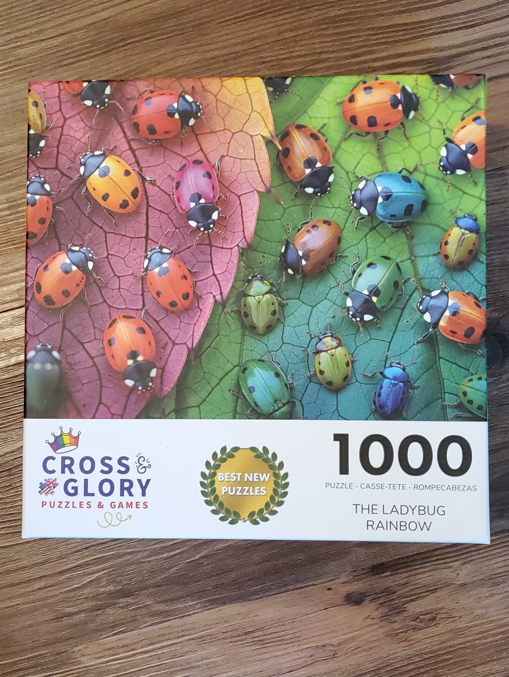 The Ladybug Rainbow 1000-Piece Puzzle - Multicolor
